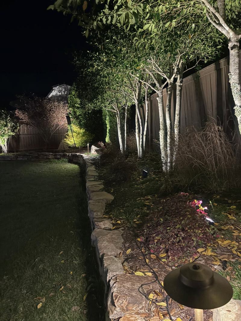 Tree Uplighting & Moonlighting project — Backyard birch grove uplit over stone border