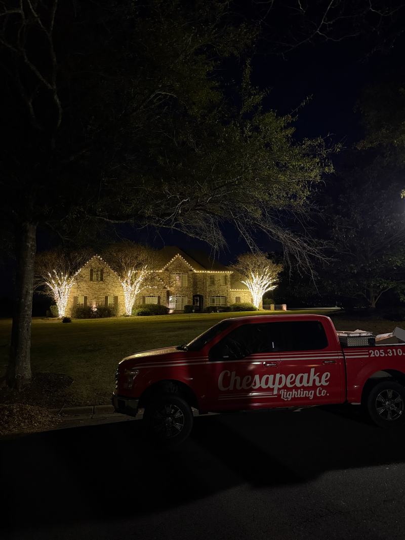 Chesapeake Lighting Co. team at work