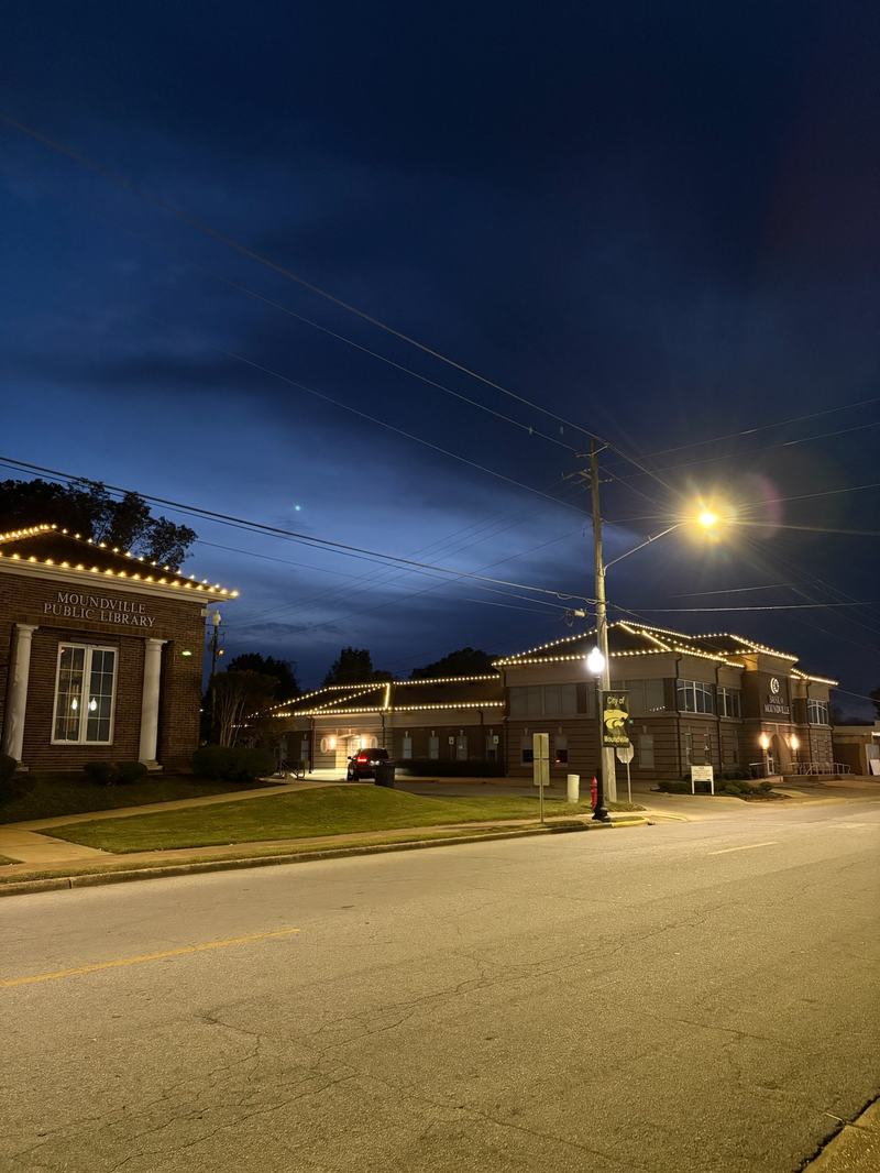Professional Christmas Light Installation near Tuscaloosa, AL