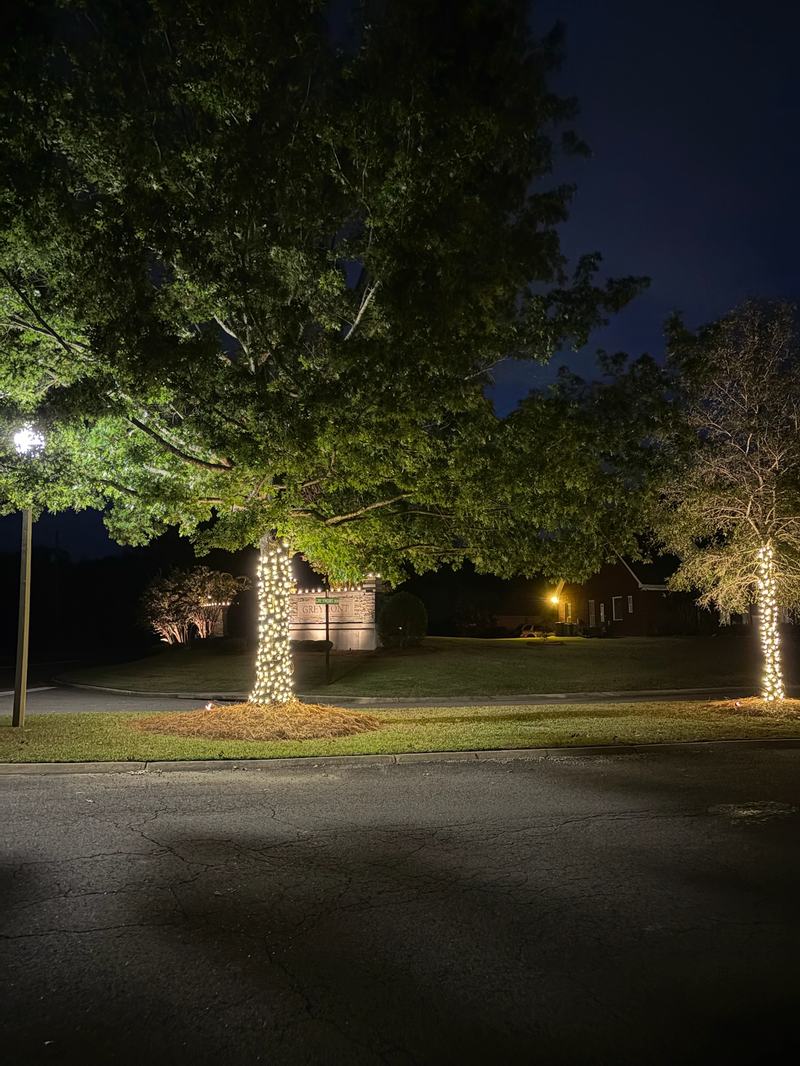 Professional Christmas Light Installation near Tuscaloosa, AL