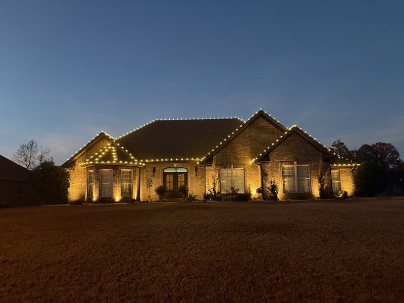 Professional Christmas Light Installation near Tuscaloosa, AL