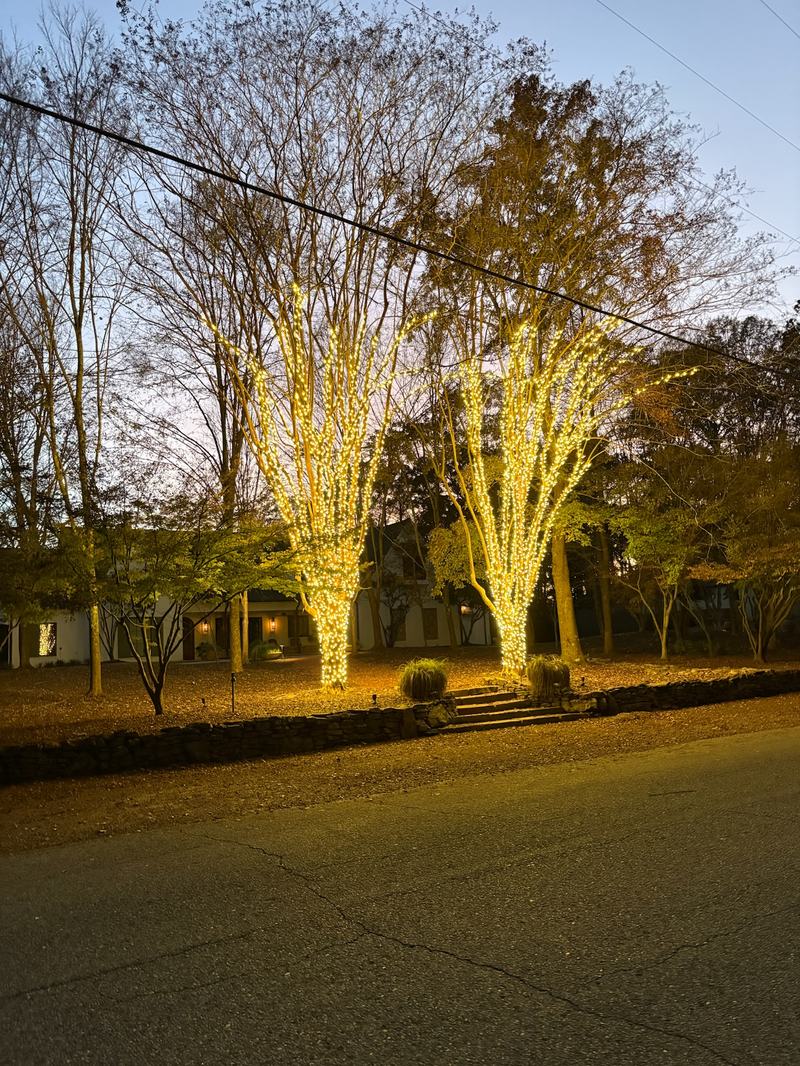 Professional Christmas Light Installation near Birmingham, AL