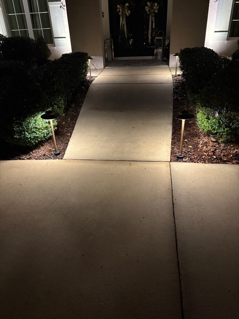 Path & Walkway Lighting project — Walkway to front door lined with path lights