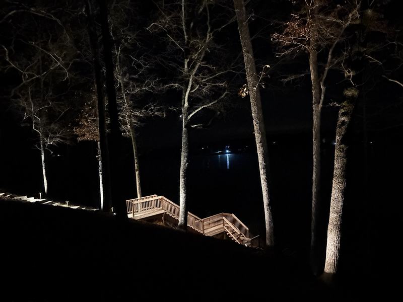 Step, Stair & Hardscape Lighting project — Wooded lake bank stairs under moonlight-effect downlights