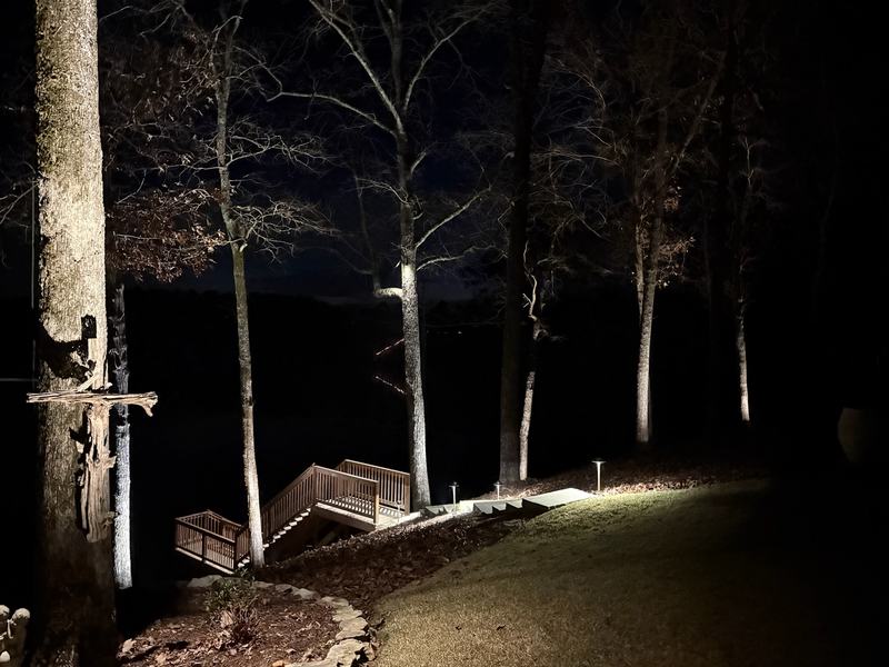 Step, Stair & Hardscape Lighting project — Lakeside slope, wooden stairs, tree downlighting