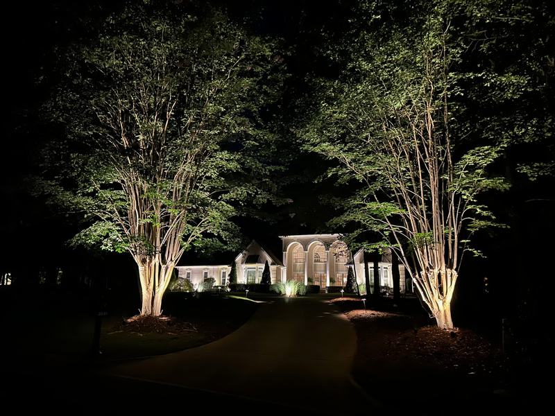 Tree Uplighting & Moonlighting project — Uplit crape myrtles framing drive to lit house