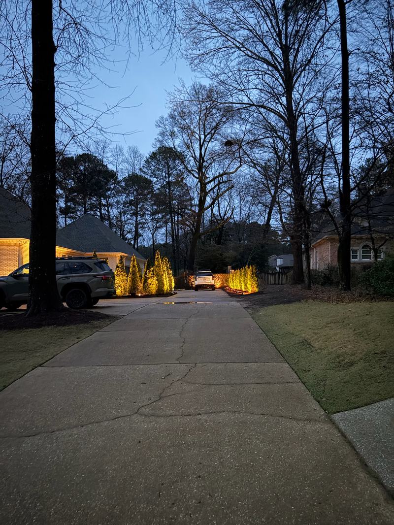 Path & Walkway Lighting project — Driveway lined with uplit arborvitaes